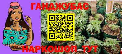 шишки Чебаркуль