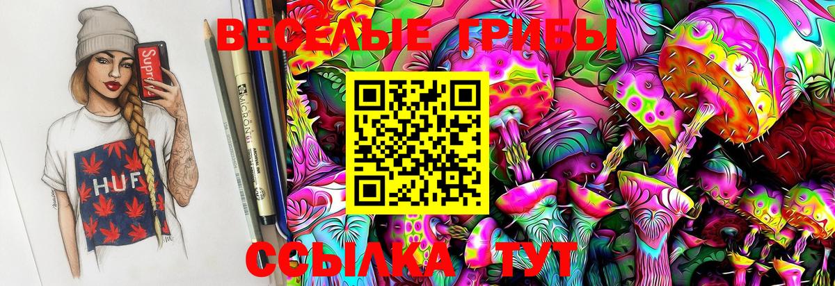 Псилоцибиновые грибы MAGIC MUSHROOMS  Вход с VPN  Галлюциногенные грибы GOLDEN TEACHER  Волжский 